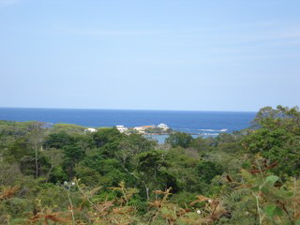 Sandy Bay property