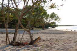 land beach front Caribbean island