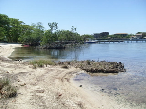 West Roatan real estate for sale