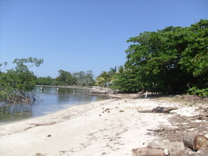 Caribbean beachfront