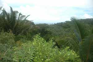 Roatan, Honduras land for sale