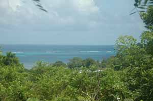 land for sale on Caribbean island of Roatan