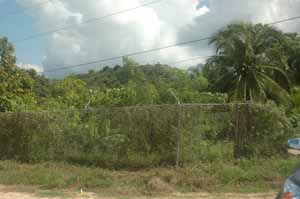 Caribbean island land for sale by owner